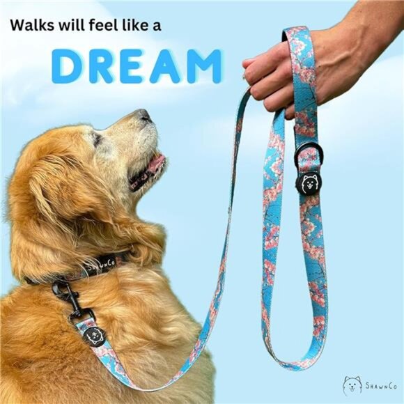 Dream Walk Dog Leash- Premium, Nylon Pet Leash with Soft Neoprene Handle - Picture 6 of 7